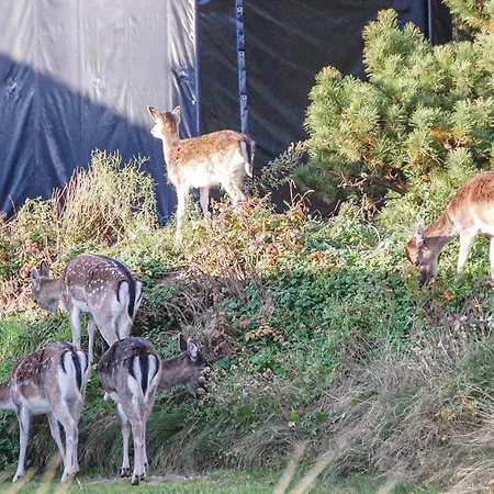 Casa vacanze Krogsande Xi *